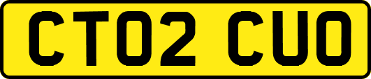 CT02CUO