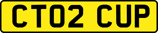 CT02CUP