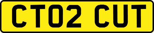 CT02CUT