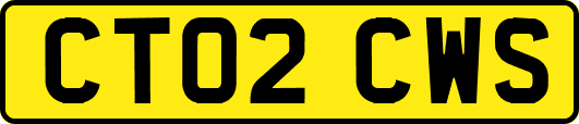 CT02CWS