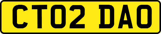 CT02DAO