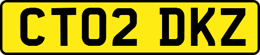 CT02DKZ