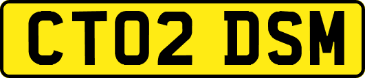 CT02DSM