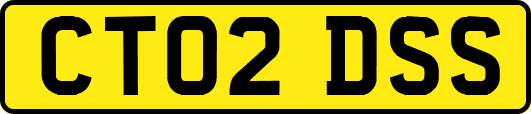 CT02DSS