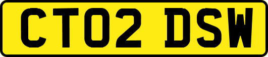 CT02DSW