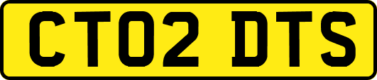 CT02DTS