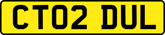 CT02DUL