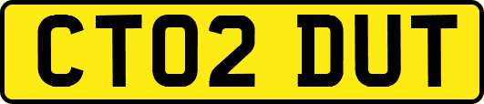 CT02DUT