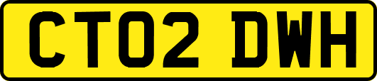 CT02DWH