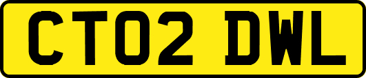 CT02DWL