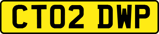 CT02DWP