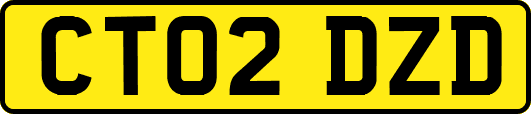 CT02DZD