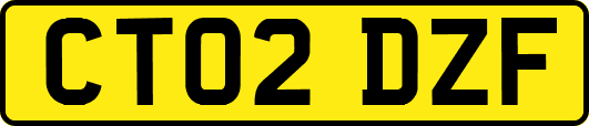 CT02DZF