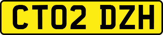 CT02DZH