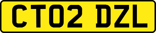 CT02DZL