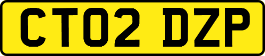 CT02DZP