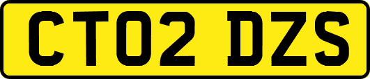 CT02DZS
