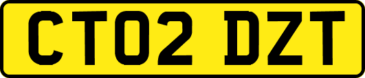 CT02DZT