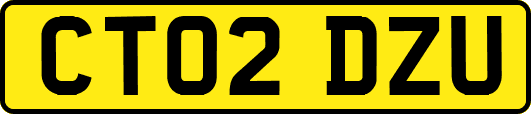 CT02DZU