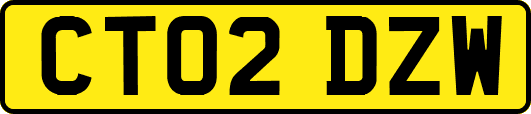 CT02DZW