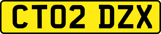 CT02DZX