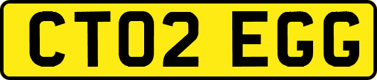 CT02EGG