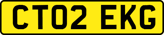 CT02EKG