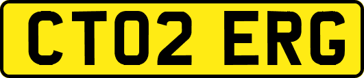 CT02ERG