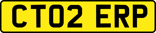 CT02ERP