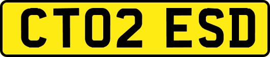 CT02ESD