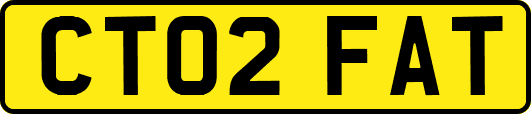 CT02FAT