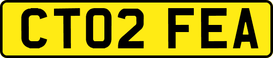 CT02FEA