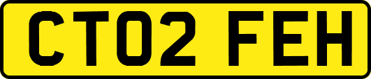 CT02FEH