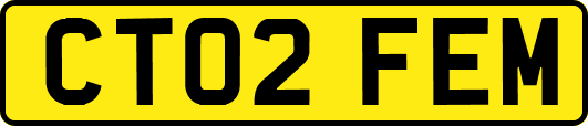 CT02FEM