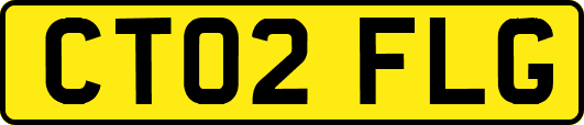 CT02FLG