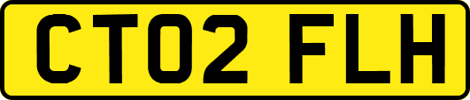 CT02FLH