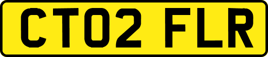 CT02FLR