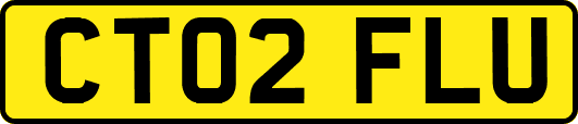 CT02FLU