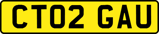 CT02GAU