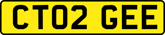 CT02GEE