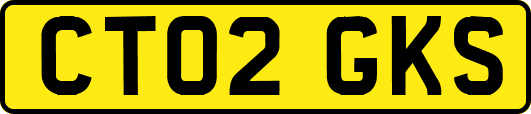 CT02GKS