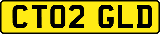 CT02GLD