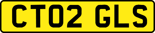 CT02GLS