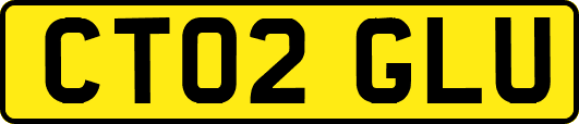 CT02GLU