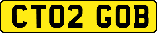 CT02GOB