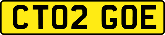CT02GOE