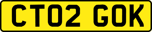 CT02GOK