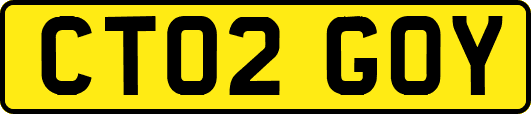 CT02GOY