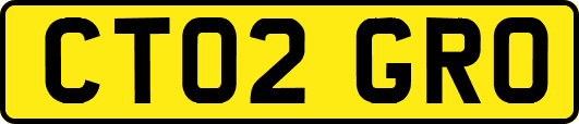 CT02GRO