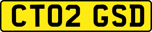 CT02GSD